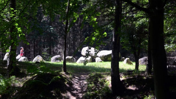 bosque - Bo Lind Knudsen