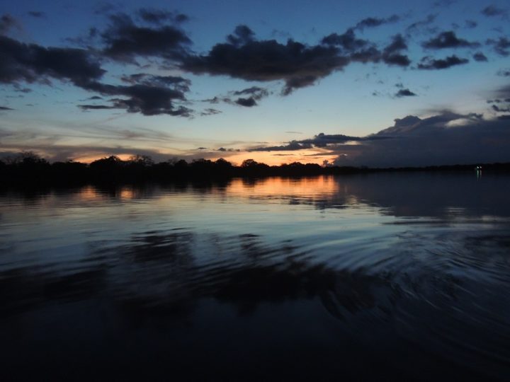 Preocupante pérdida de la biomasa amazónica