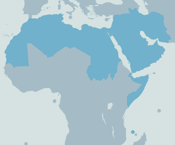 Countries of the zone free of WMD in the Middle East