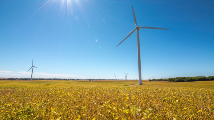 Überraschung: EU-Parlament votiert für 60% Emissionsreduktion bis 2030