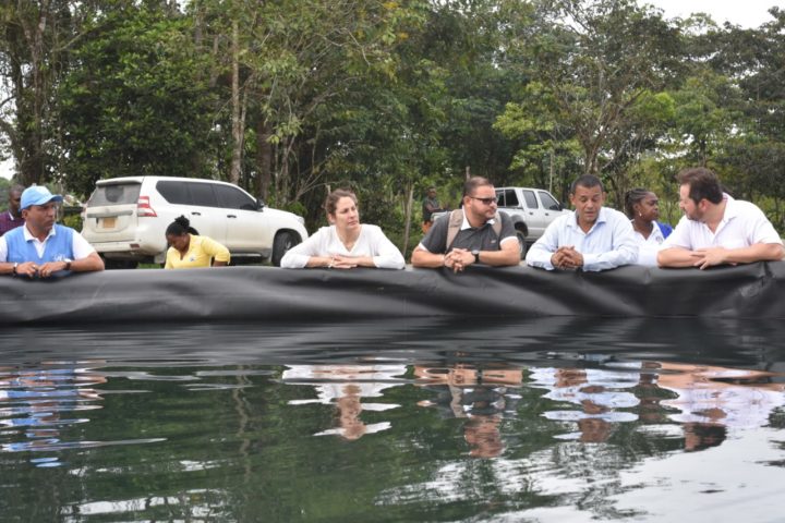 Colombia: Piscicultura y Aguas de Paz, dos proyectos de excombatientes de las FARC