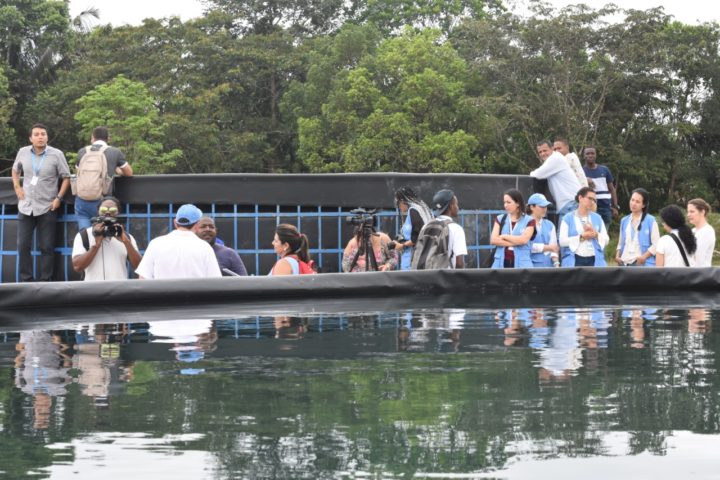 Colombia: Piscicultura y Aguas de Paz, dos proyectos de excombatientes de las FARC