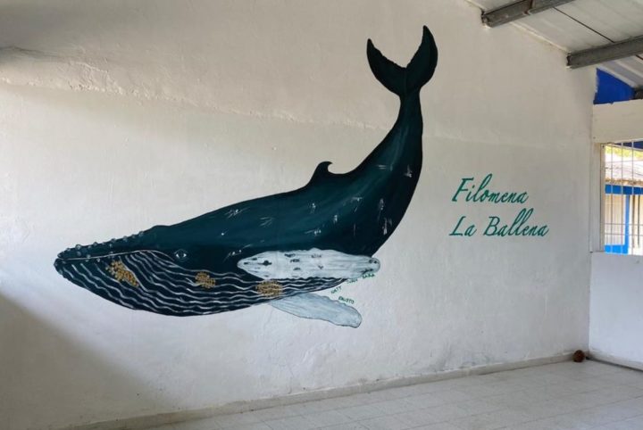 Nuquí, un paraíso donde se resiste bajo el imperio del miedo