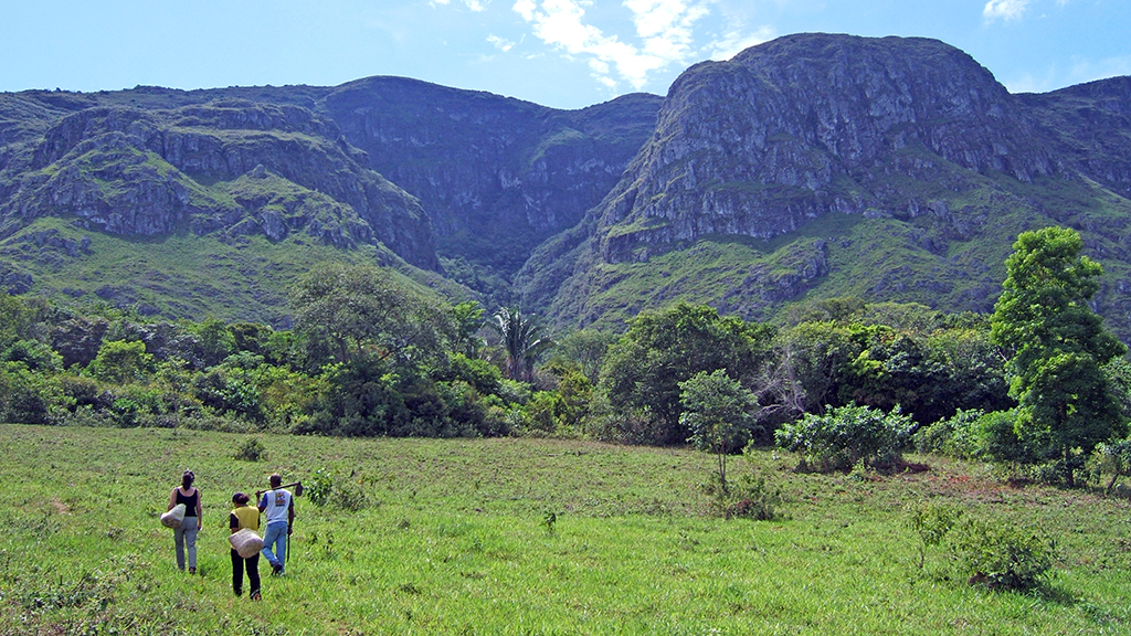 Beyond the old world: lessons from the pandemic