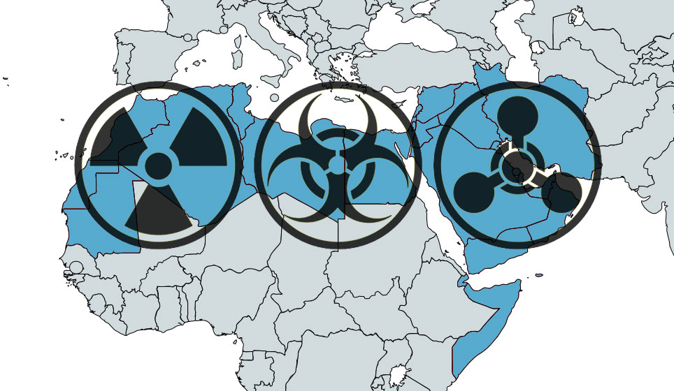 Interview with the founders of the Middle East Treaty Organization