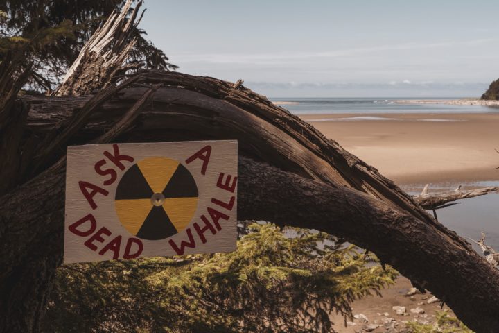 Sign on Highway 101 outside of Lincoln City, Oregon.