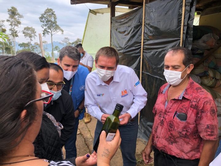 Economía circular y apoyo privado para la reincorporación en Tolima