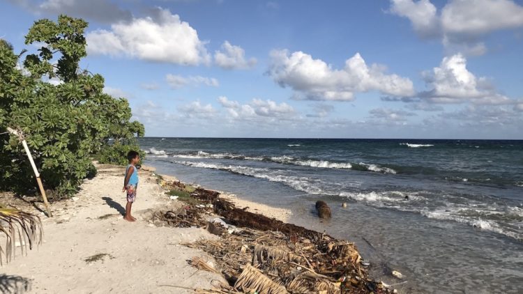 Das verlorene Paradies