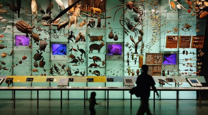 Pourquoi ne connaît-on que 20 % du vivant ?