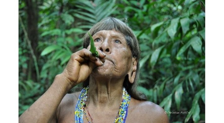 « L’Ambassade pour l’Amazonie » et ses peuples