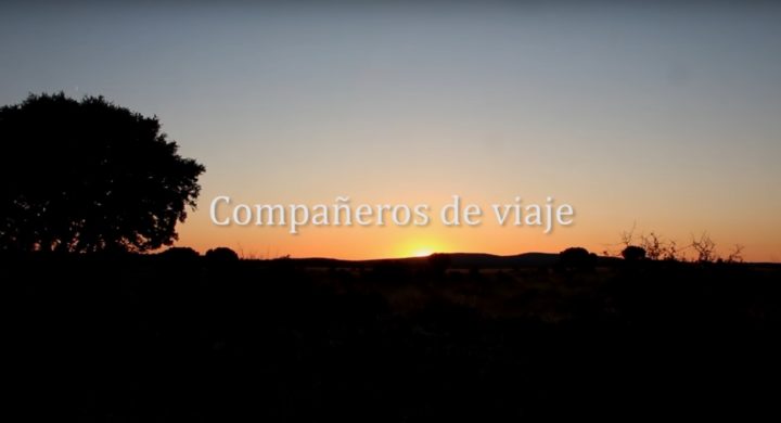 El Festival de Cine y Derechos Humanos de Madrid selecciona documentales promovidos por Pressenza