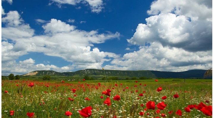 L’Écosse rend les protections hygiéniques gratuites