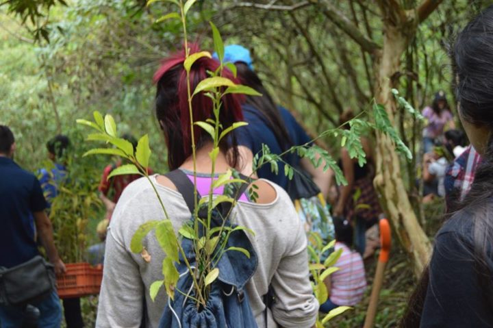 José Rafael Quesada