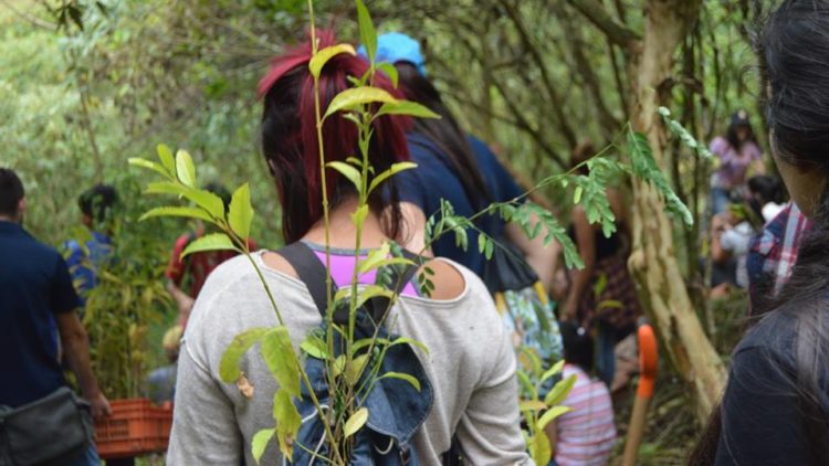 José Rafael Quesada