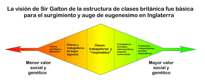 Visión de Galton de la sociedad victoriana inglesa, desde el punto de vista de su valor genético y social. 