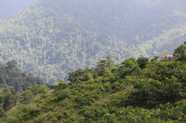 Colombia: guardaparques sin garantías para proteger la biodiversidad