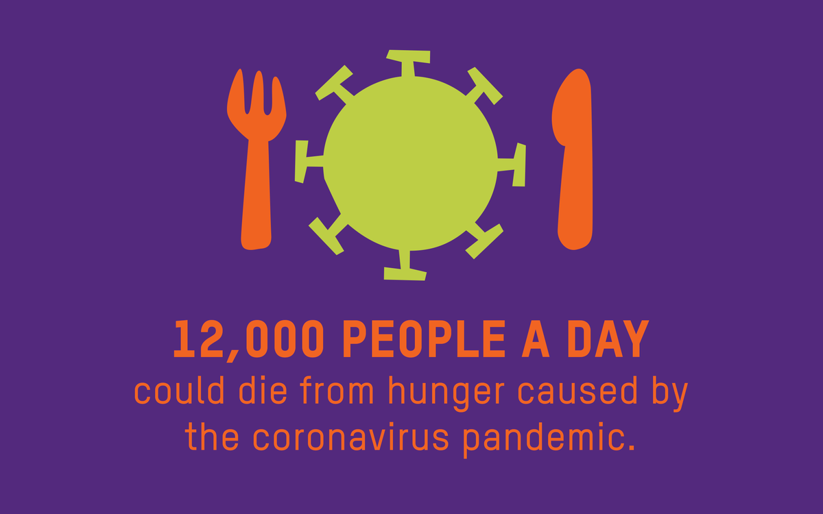 Mismanagement of the COVID-19 Crisis Increases Food Insecurity in India and Brazil