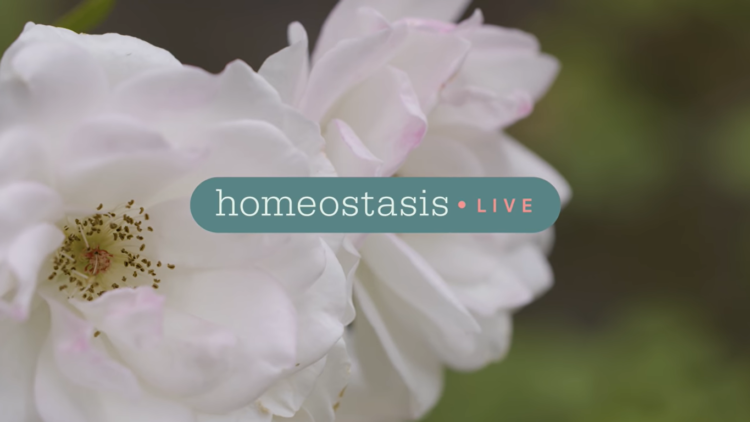 Homeostasis Live