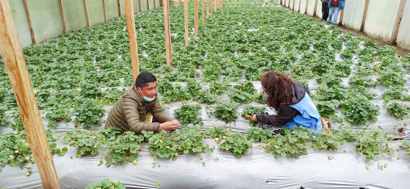 Colombia: in Nariño, peace builders