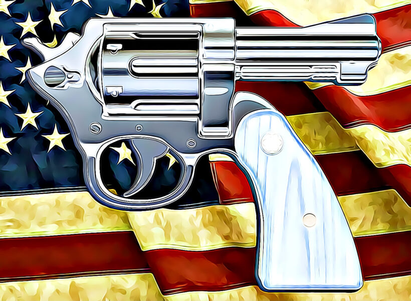 Die politische Linke in den USA zerstört sich selbst