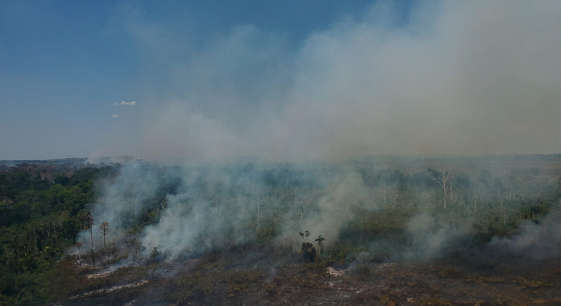 Dem Amazonas Lebewohl sagen?