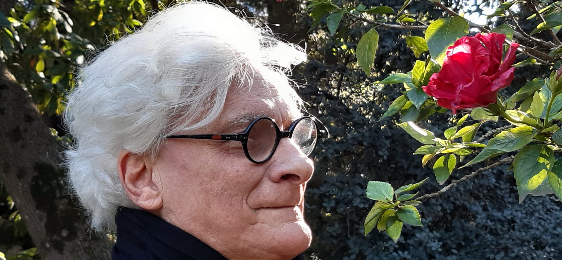 Franco Berardi "Bifo" scrive a Julian Assange