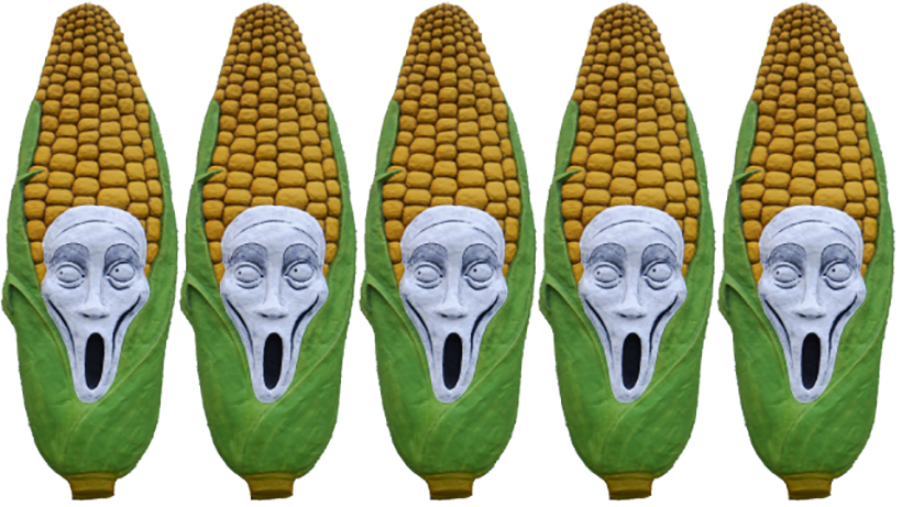 KWS-Patente gefährden Pflanzenzucht in Europa