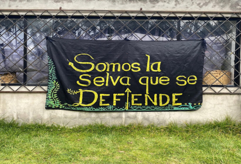 Pancartas en la Asamblea