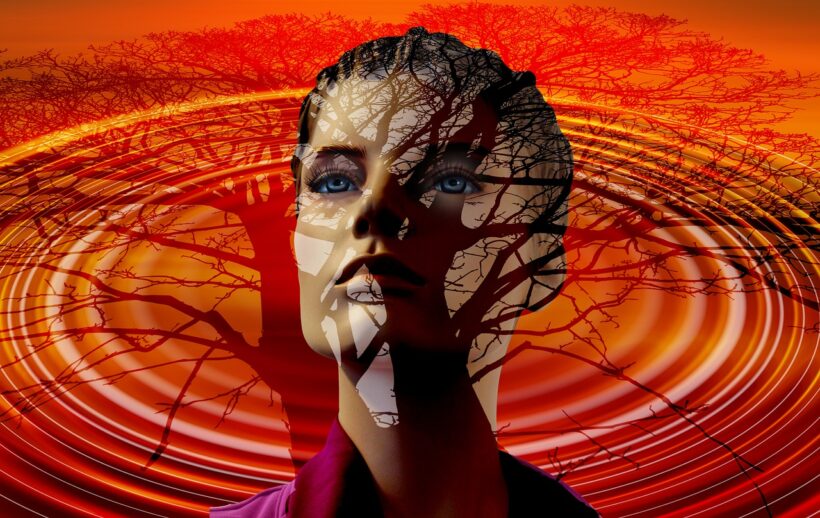 Bewusstsein – ist das etwas Menschliches?