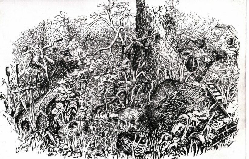 Nachtrag zum Tag des Waldes