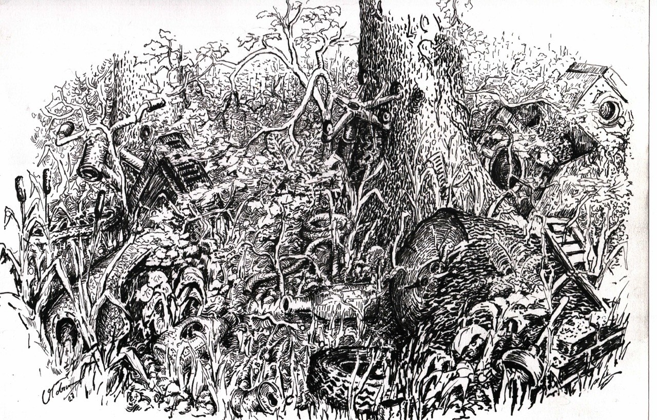 Nachtrag zum Tag des Waldes