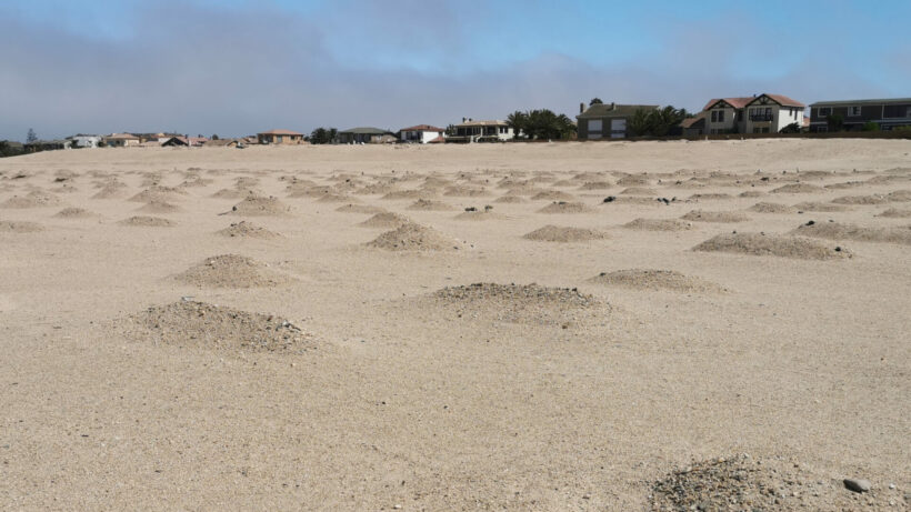 The unmarked graves of those who died in the concentration camps.