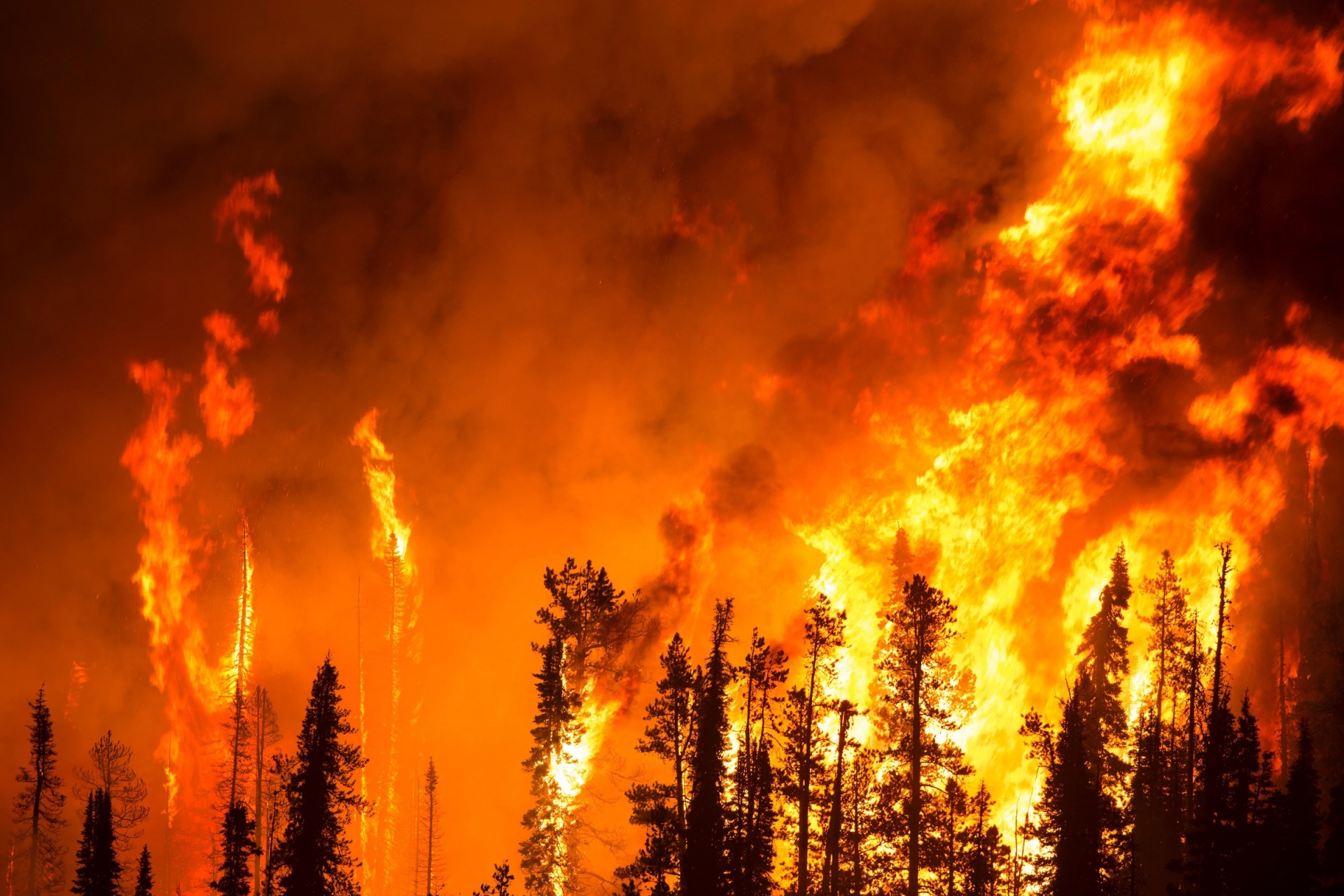 Chile: incendios fuera de control