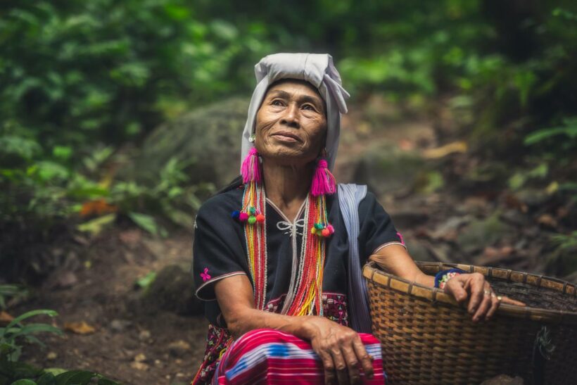 65.000 Hektar Wald in Indonesien gerettet – ein Sieg des indigenen Volkes der Auyu
