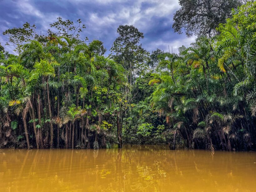 Un triunfo histórico en favor de la vida en la consulta popular en Ecuador.