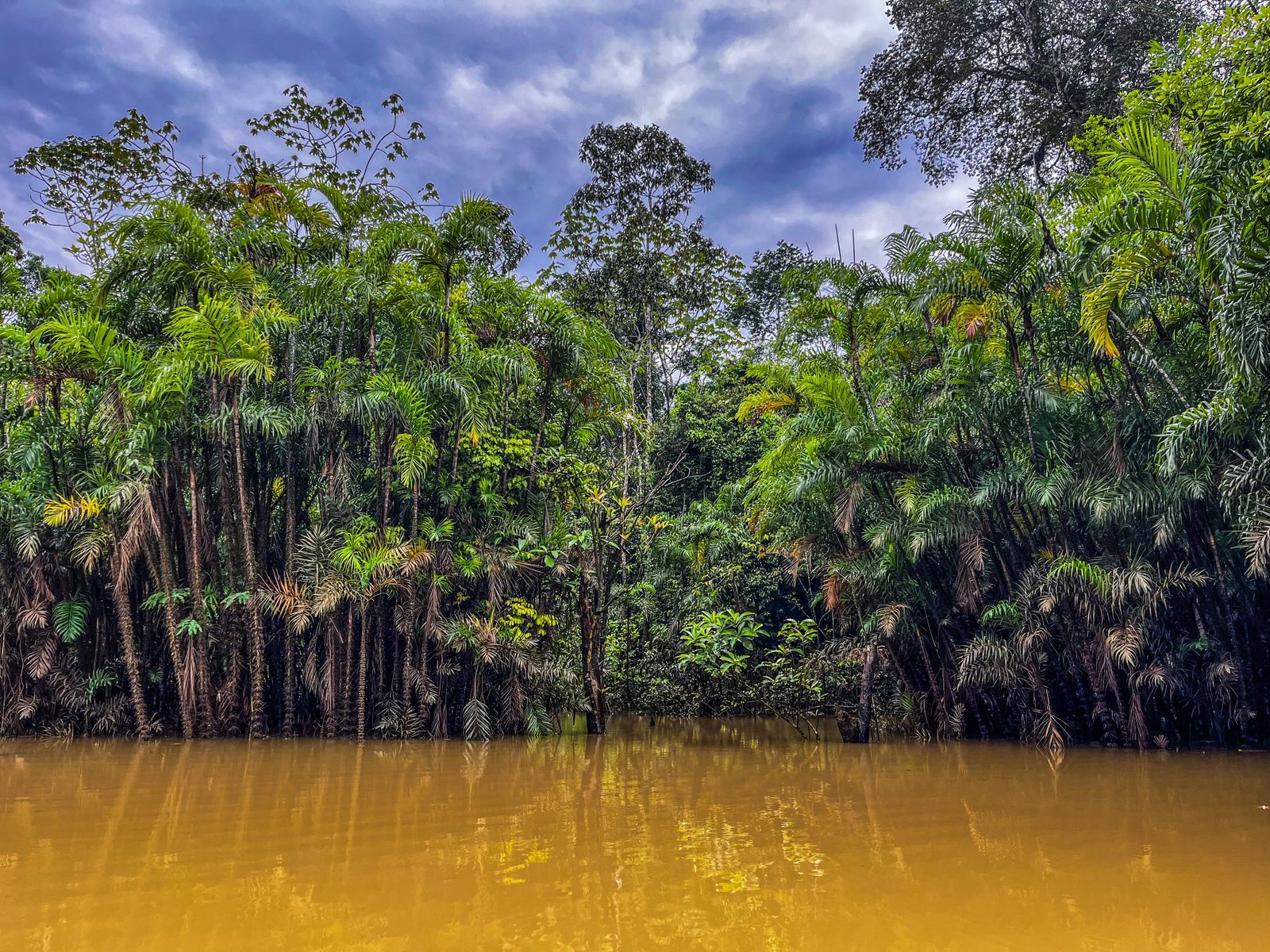 Un triunfo histórico en favor de la vida en la consulta popular en Ecuador.