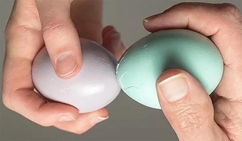 Schlacht zwischen Kapitalismus und Sozialismus?