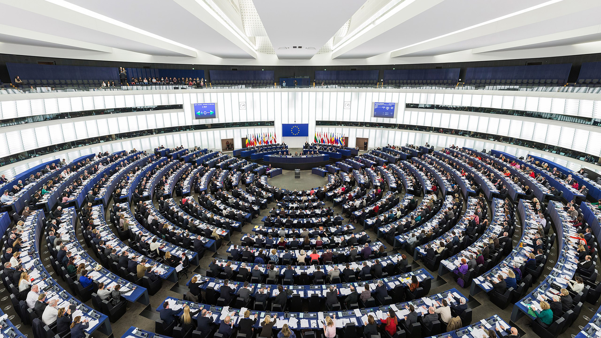 Elezioni europee - parlamento