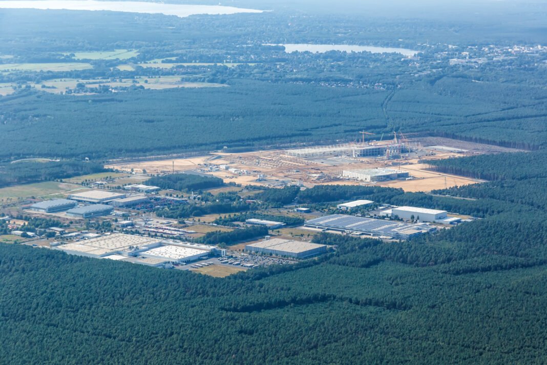In Deutschland wurde ein Wald besetzt, um Teslas neue Megafabrik zu stoppen