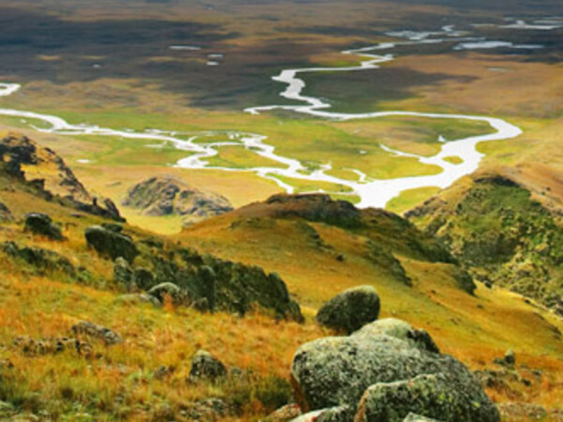 Das Wilde und das Heilige - Rezension des gleichnamigen Buches von Thomas Berry