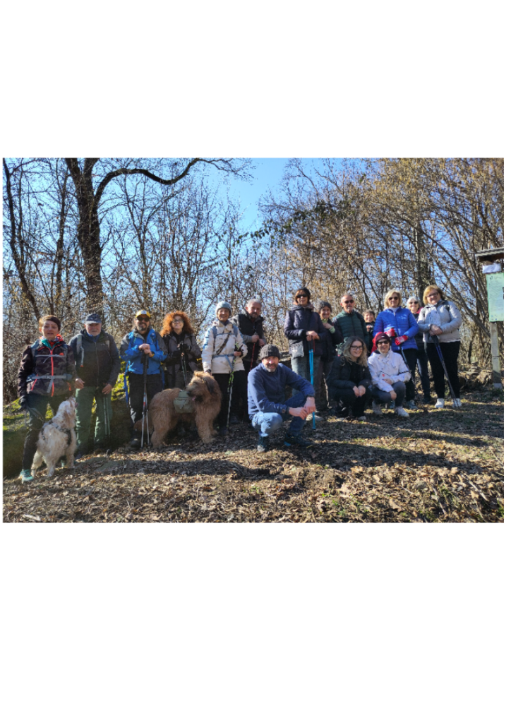 Gruppo di camminatori alcuni con il Parkinson al Roc della Regina, masso erraatico presso Roppolo (BI)