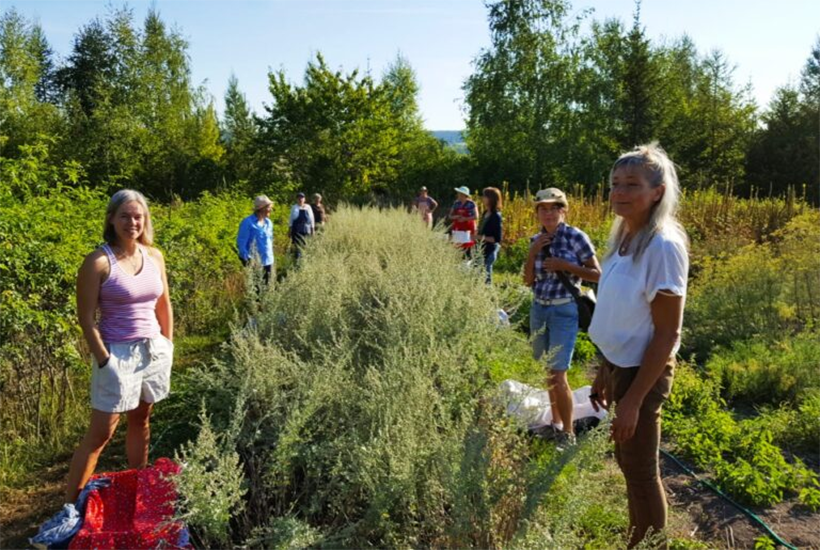 Der Dienst an der Natur als Entscheidung für Frieden und Freiheit