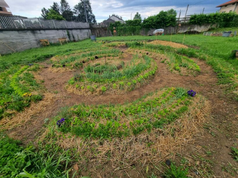 Coltivazione a forma di chiocciola dell'Orto di tutti realizzata a CIgliano (VC) su un terreno confiscato alla mafia