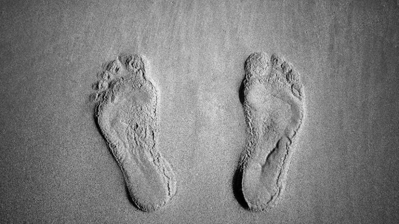 impronta di piedi fossili