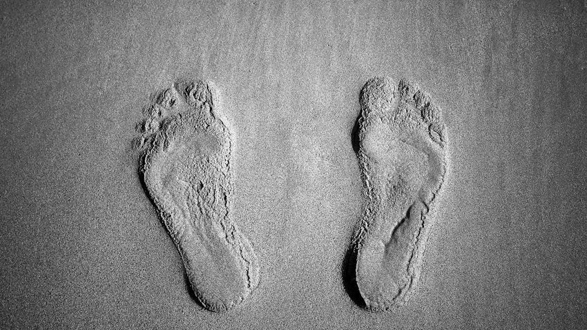 impronta di piedi fossili