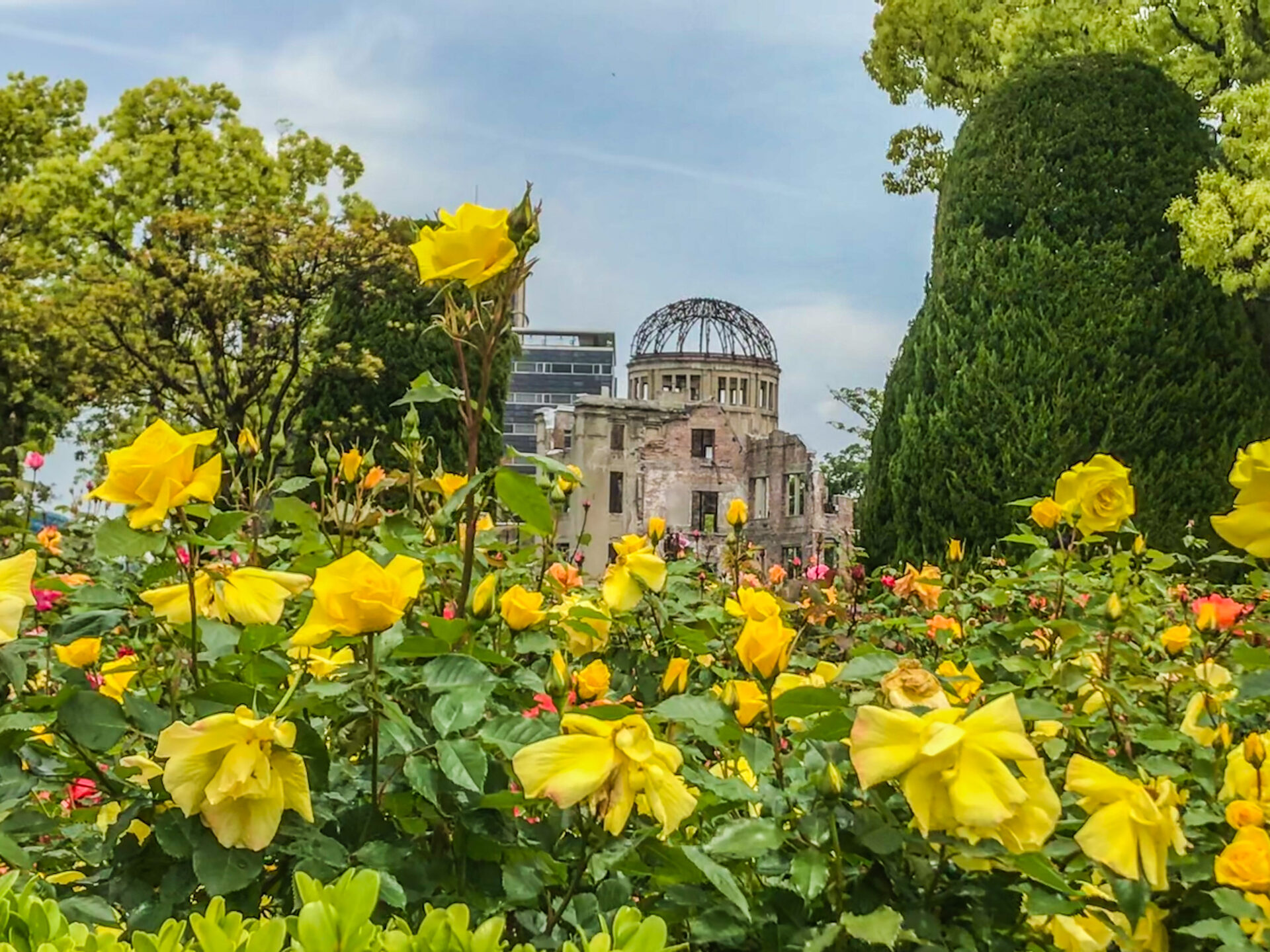 Hiroshima vista dei ruderi con fiori