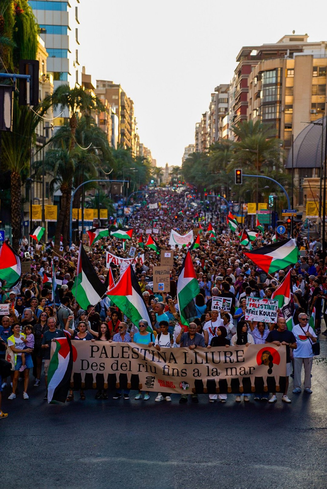 Alicante: Desde el rio hasta el mar Palestina vencerá