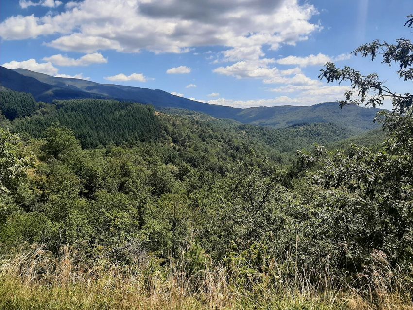 montagne intorno a Londa