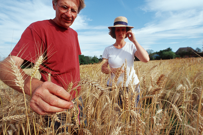 Bundesbürger: immer mehr Biobürger?