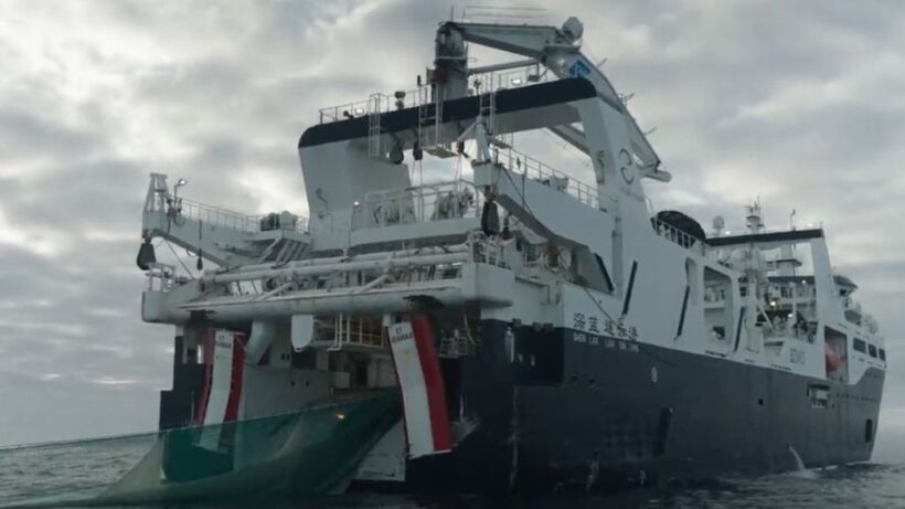 Verhaftung eines Krill-Schützers: Moskau geht gegen Wissenschaftler vor